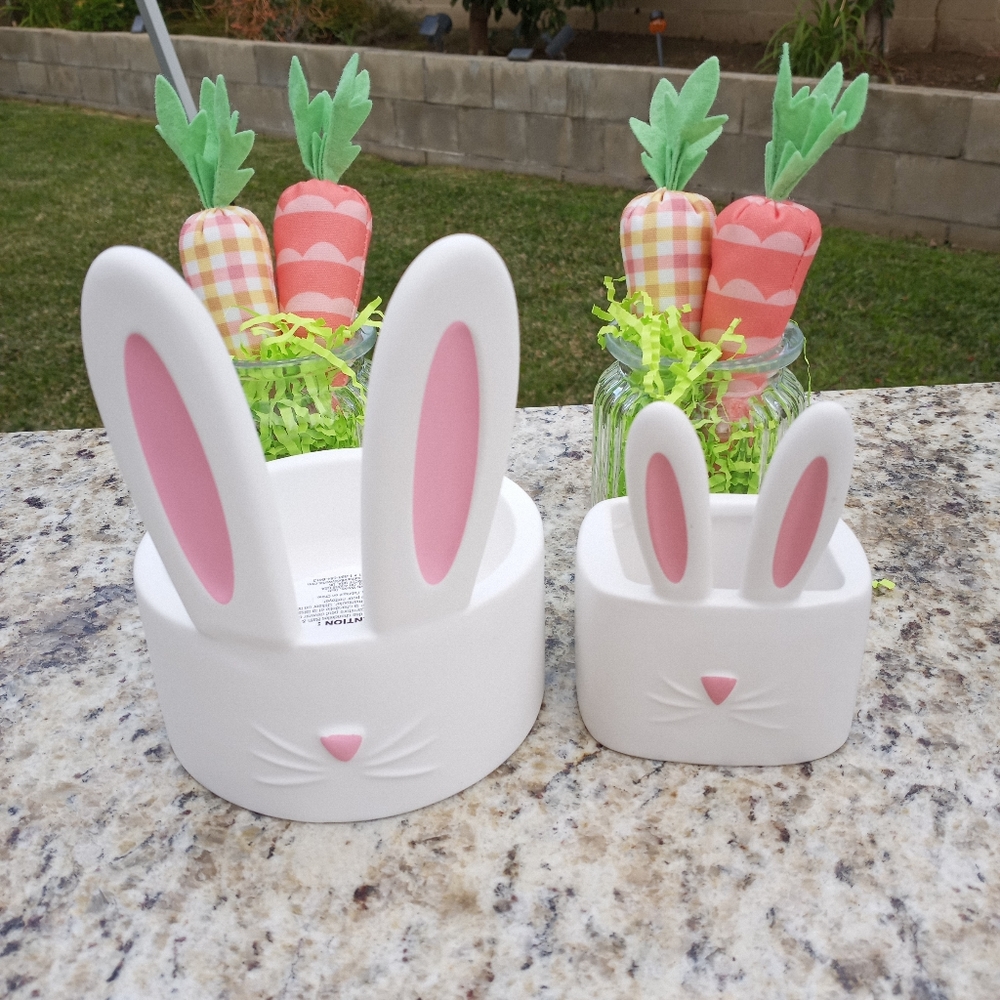 BBW bunny set